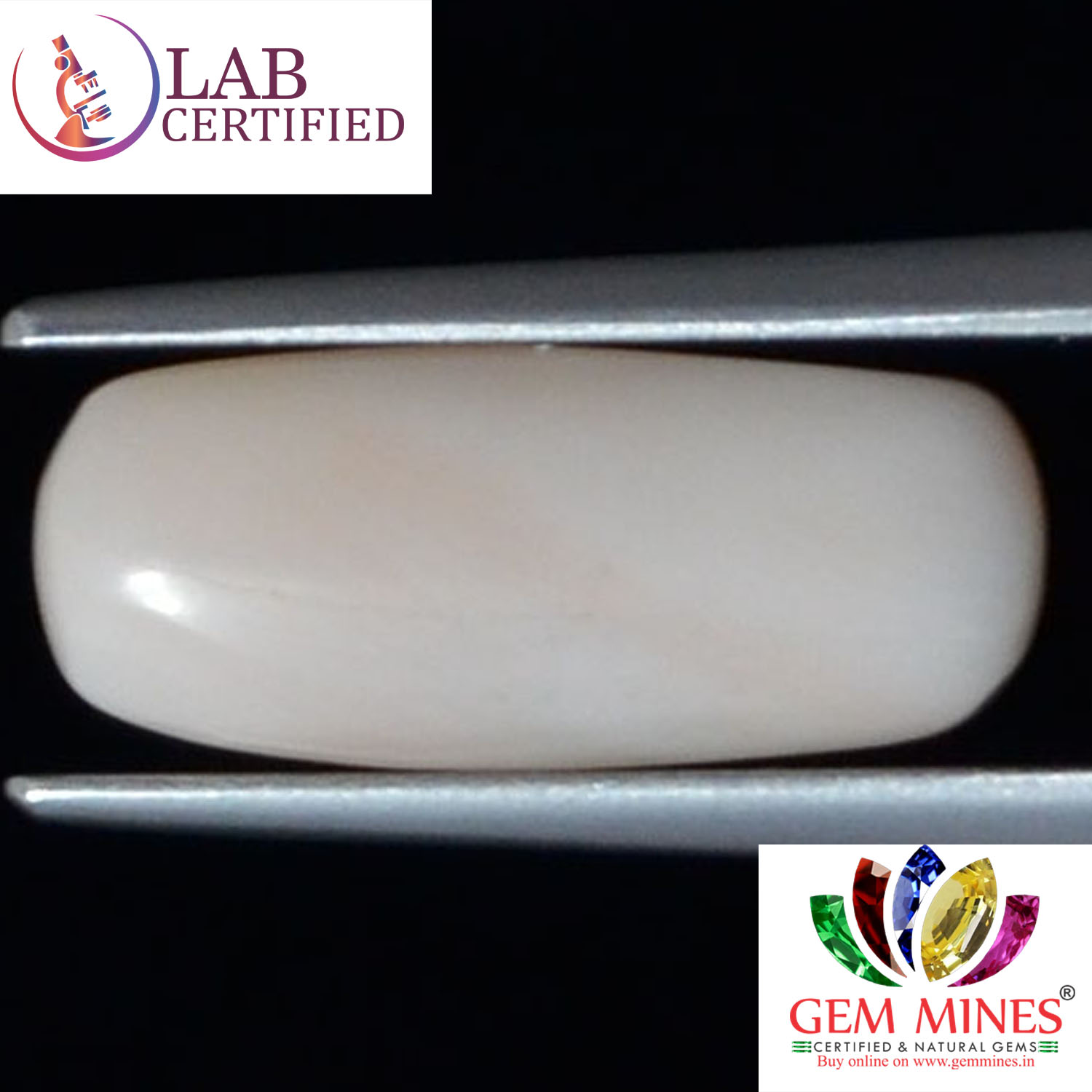 WC230 2 White Coral 5.76 Ct.