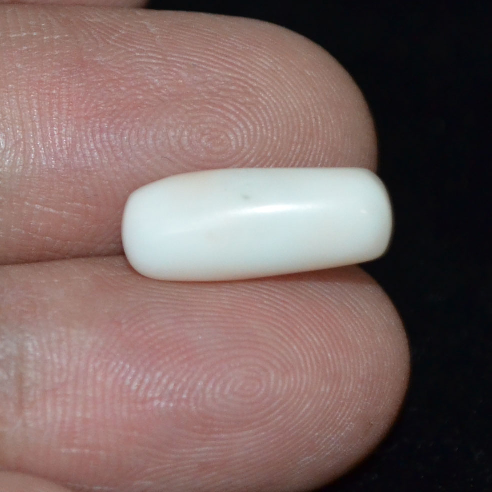 WC230 3 White Coral 5.76 Ct.