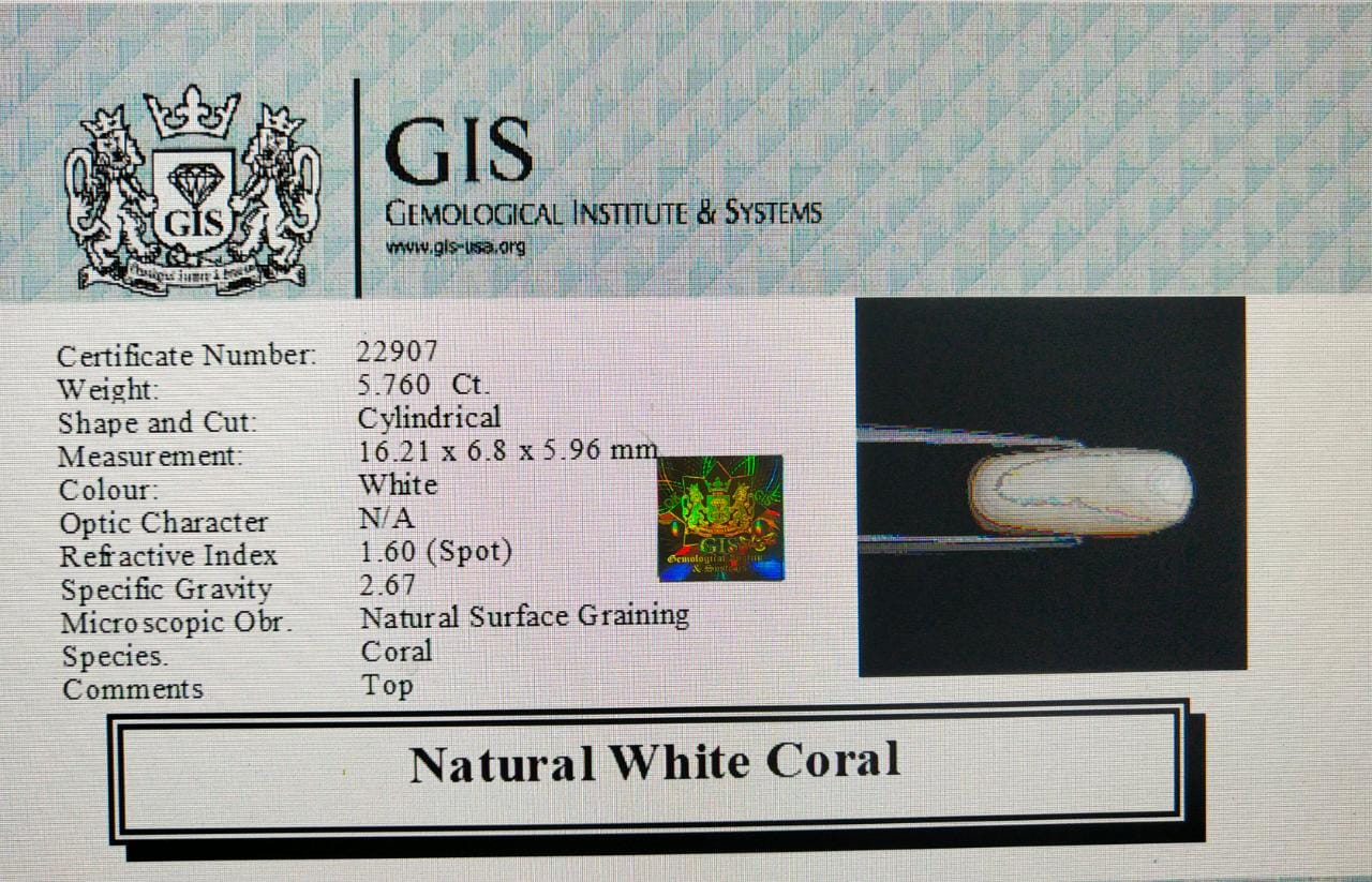 WC230 4 White Coral 5.76 Ct.