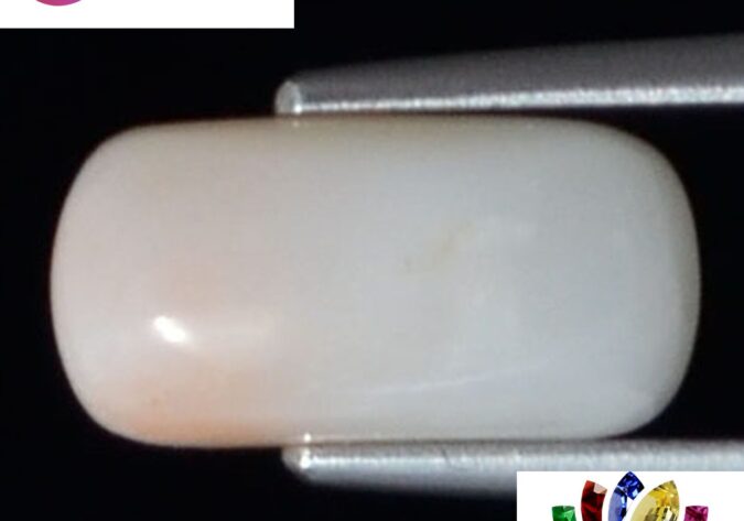WC232 1 e1680689606126 White Coral 3.29 Ct.
