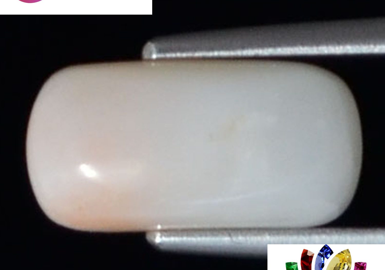 White Coral 3.29 Ct.