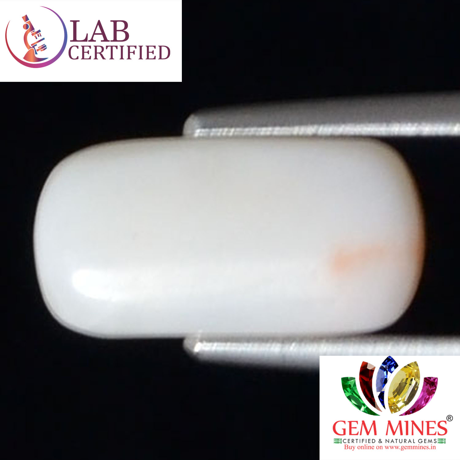 WC232 2 White Coral 3.29 Ct.