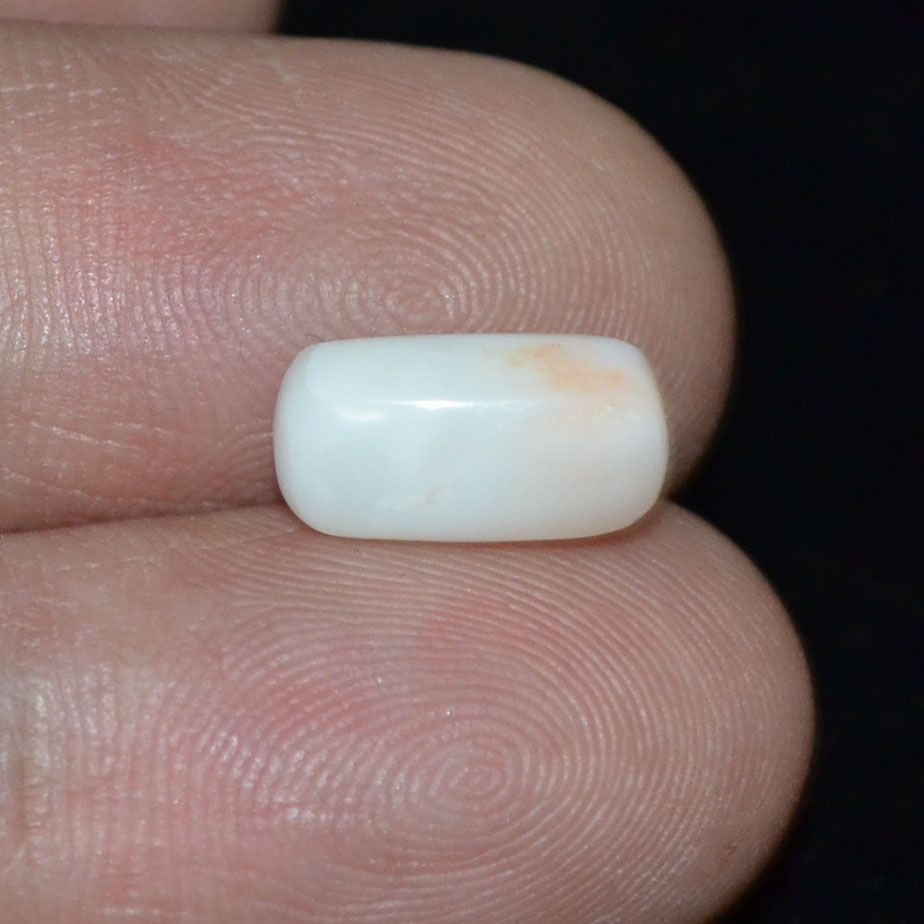 WC232 3 White Coral 3.29 Ct.