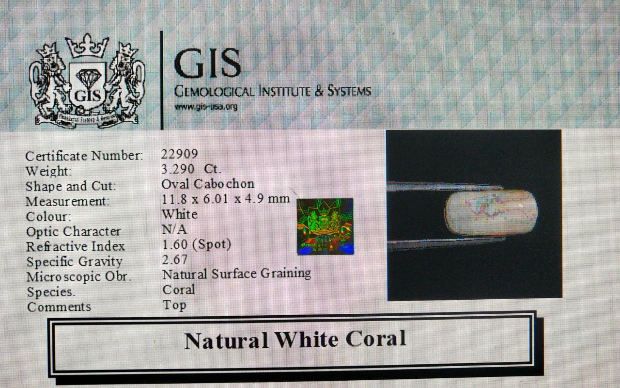 WC232 4 White Coral 3.29 Ct.