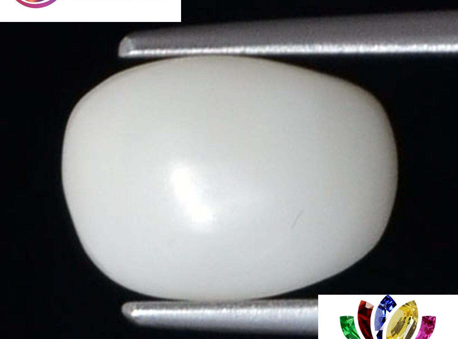 White Coral 2.93 Ct.