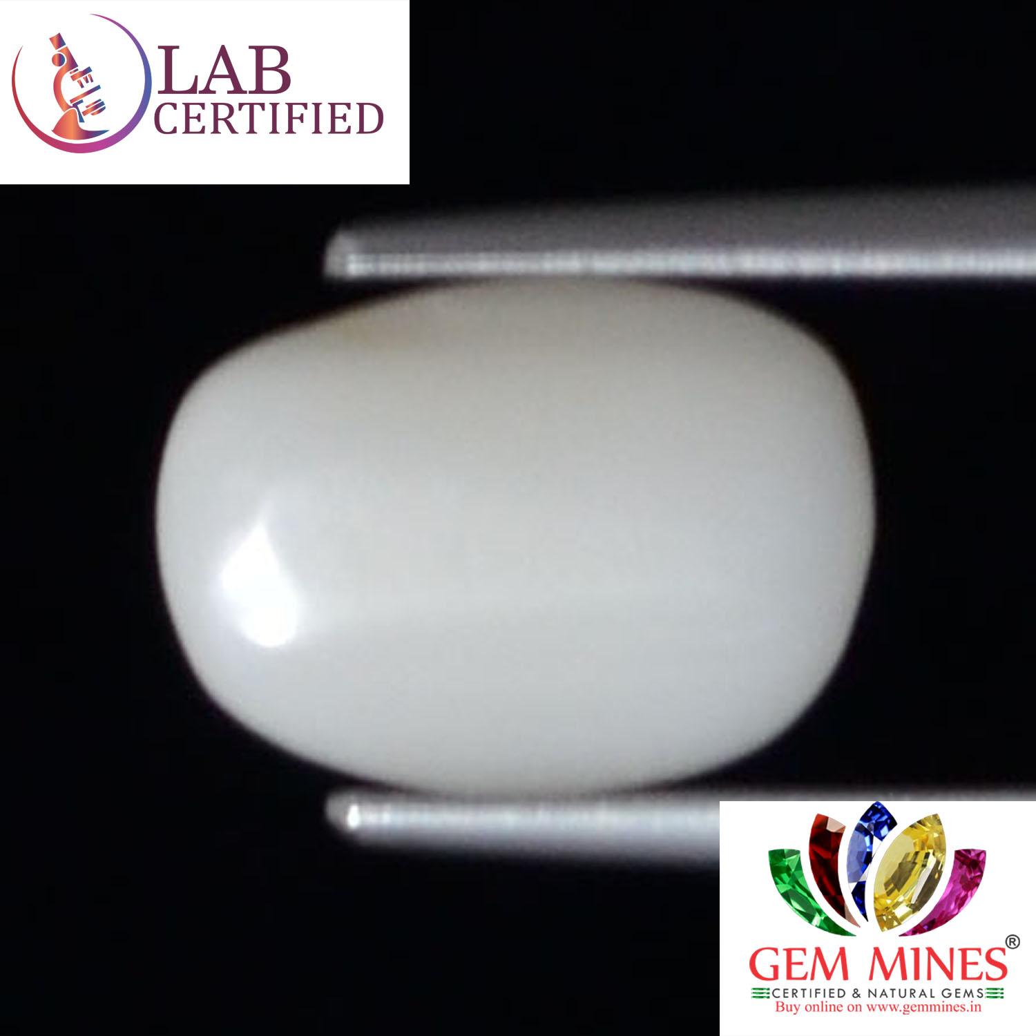 WC233 2 White Coral 2.93 Ct.