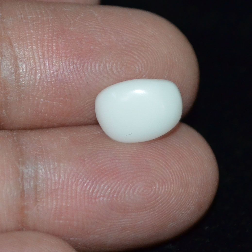 WC233 3 White Coral 2.93 Ct.