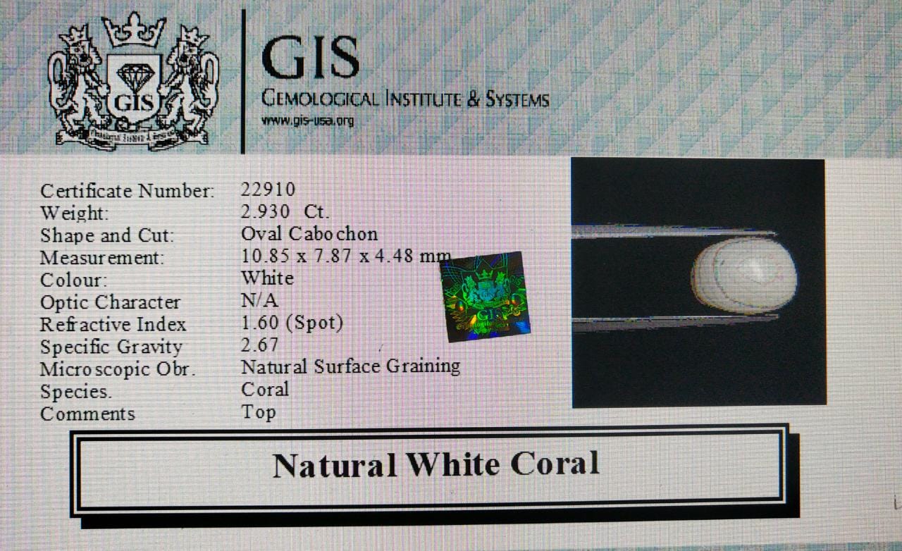 WC233 4 White Coral 2.93 Ct.