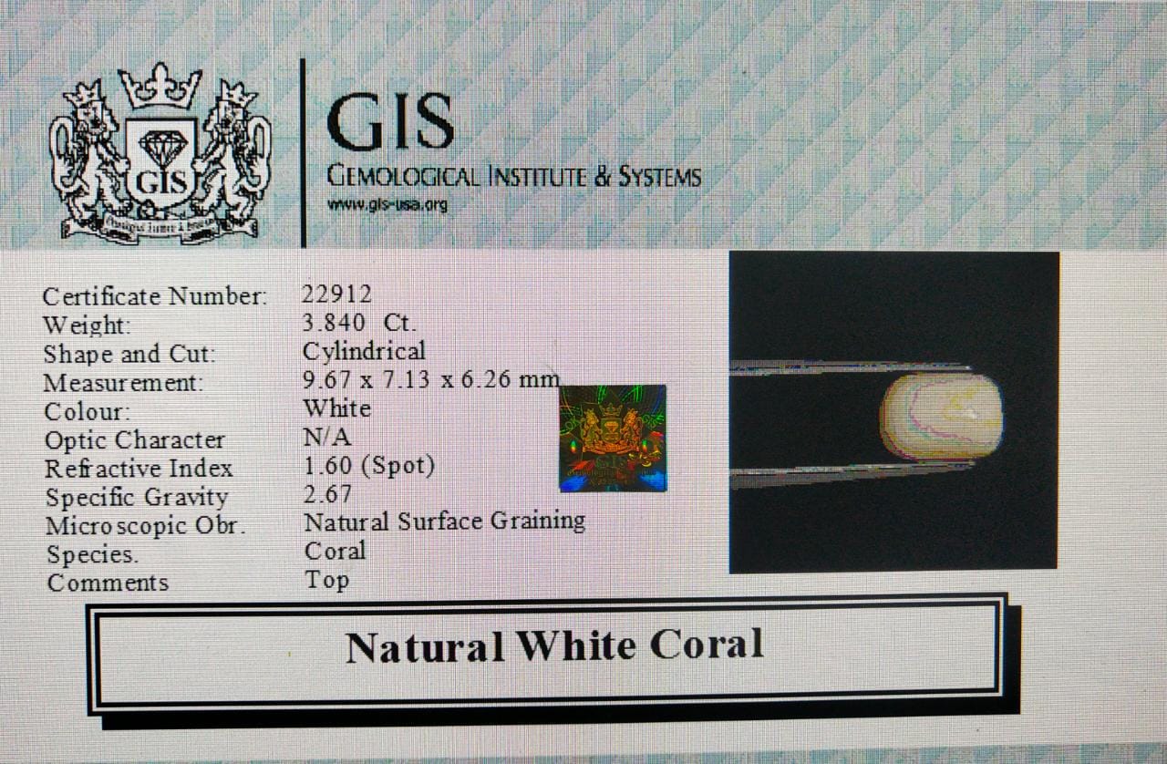White Coral 3.84 Ct.
