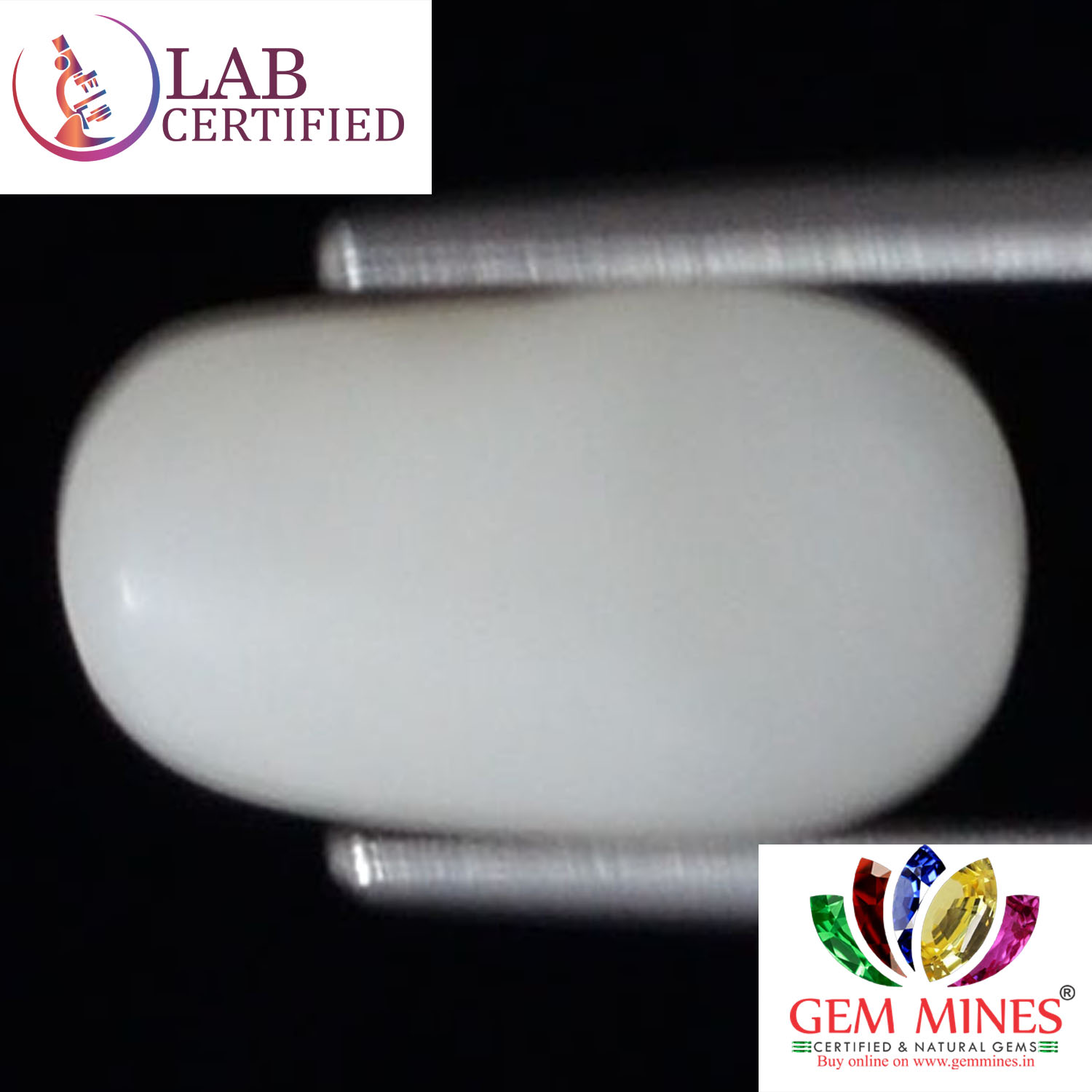 WC236 2 White Coral 3.28 Ct.