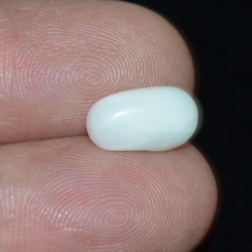 WC236 3 White Coral 3.28 Ct.