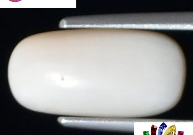 WC237 1 e1680689970554 White Coral 4.04 Ct.