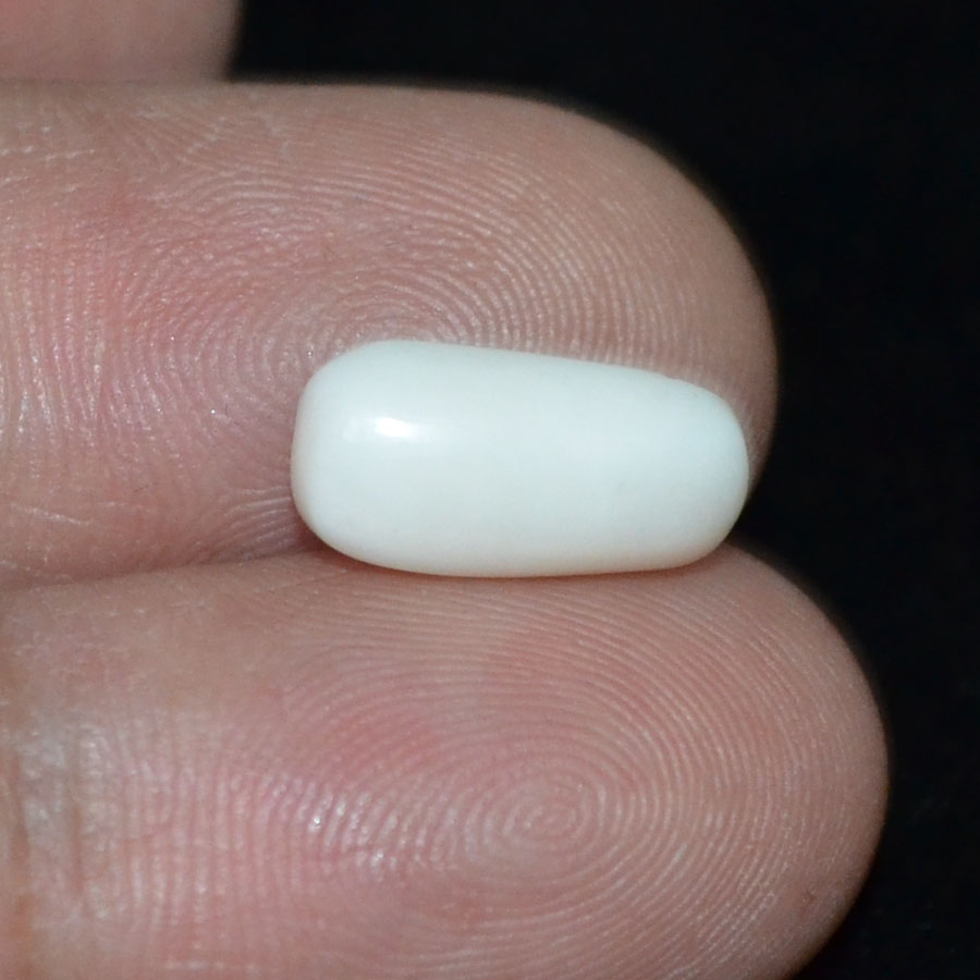 WC237 3 White Coral 4.04 Ct.