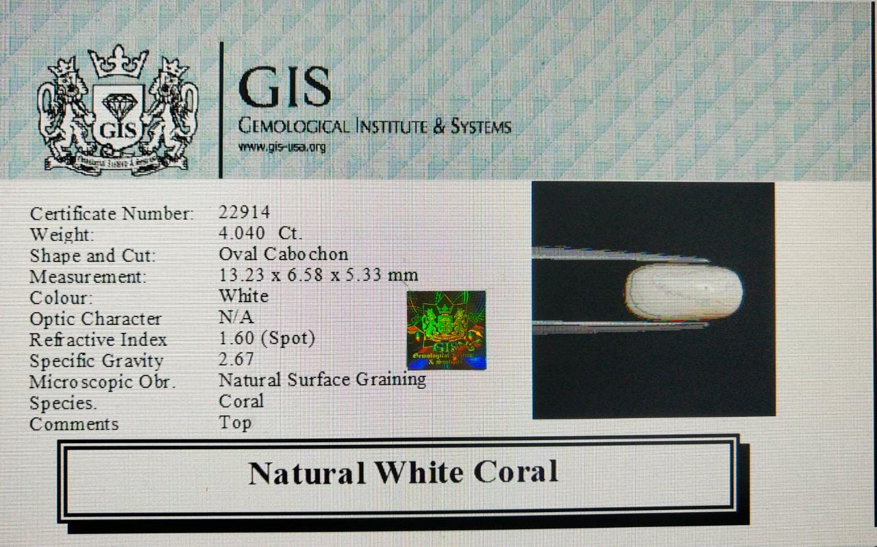 WC237 4 White Coral 4.04 Ct.