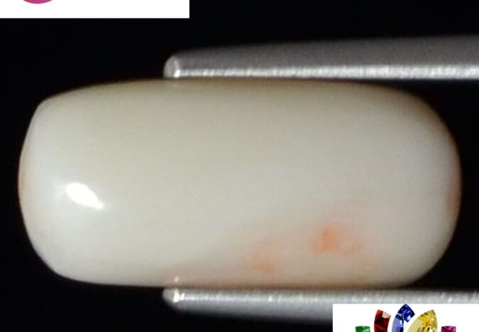 WC238 1 e1680689975754 White Coral 4.68 Ct.