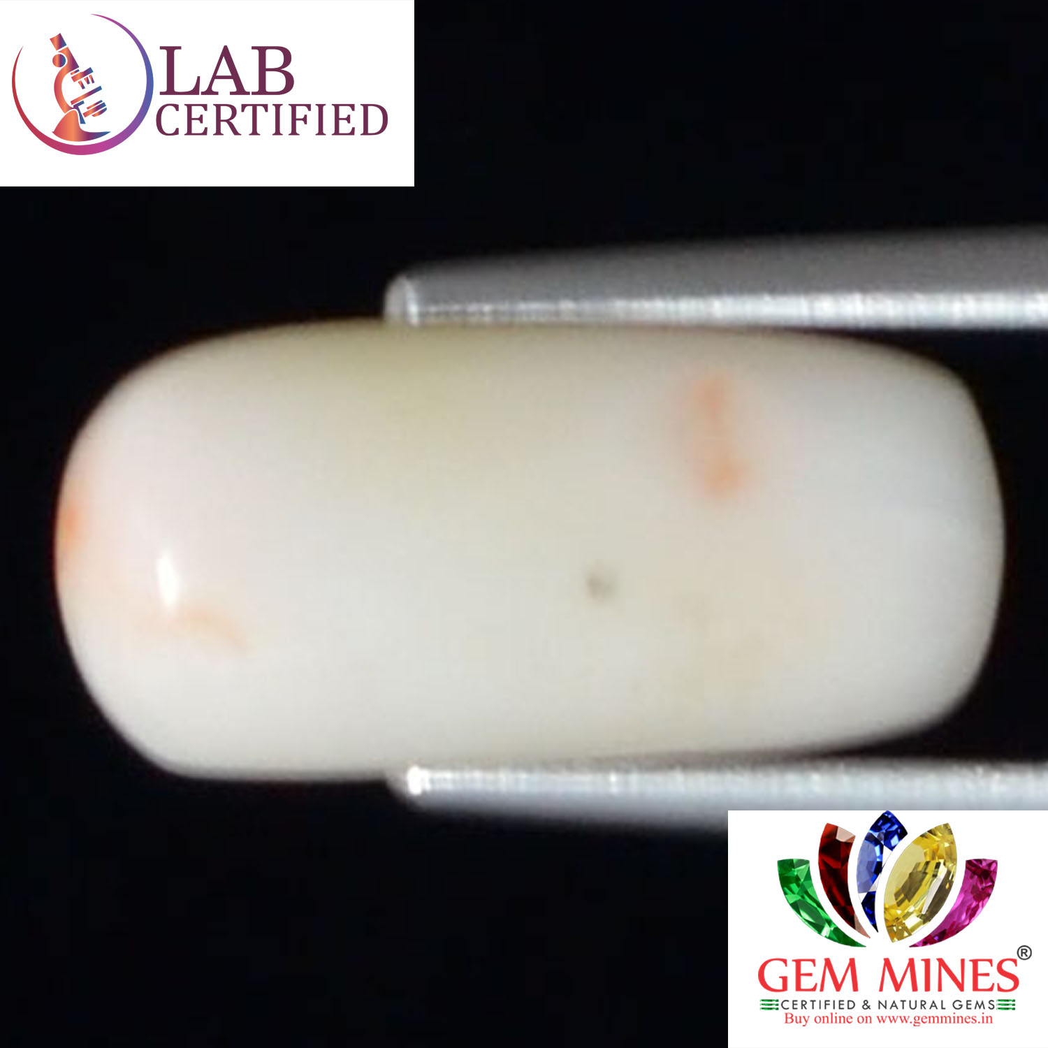 WC238 2 White Coral 4.68 Ct.