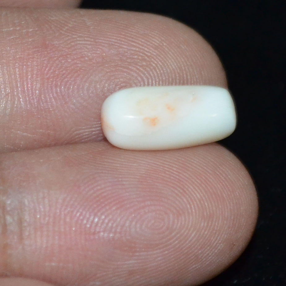 WC238 3 White Coral 4.68 Ct.