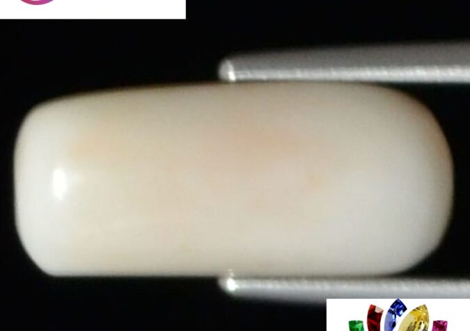 WC239 1 e1680690276342 White Coral 4.1 Ct.