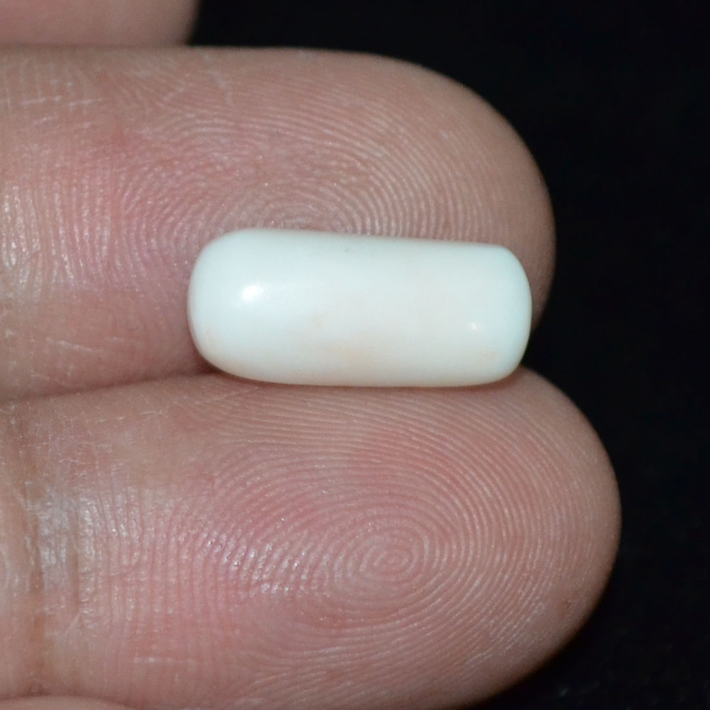 WC239 3 White Coral 4.1 Ct.