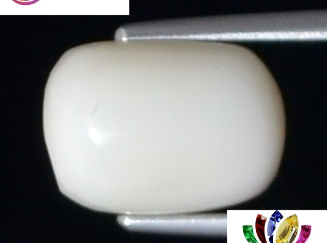 WC240 1 e1680690273642 White Coral 4.76 Ct.