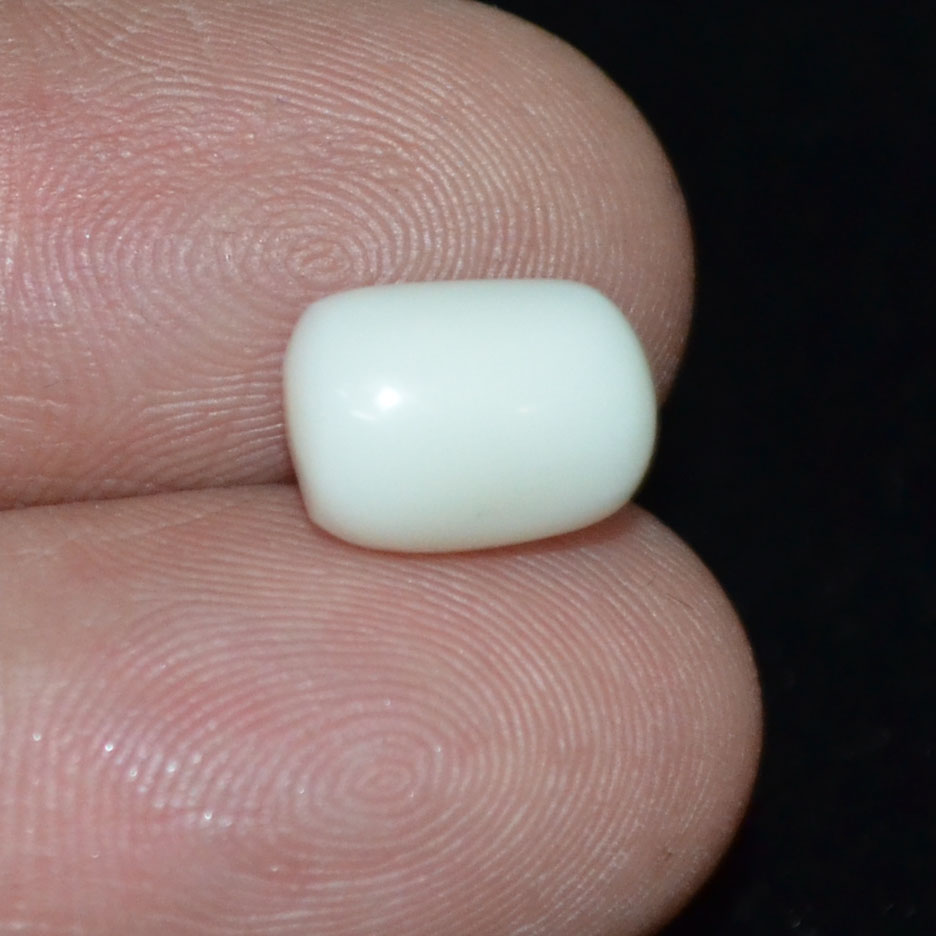 WC240 3 White Coral 4.76 Ct.