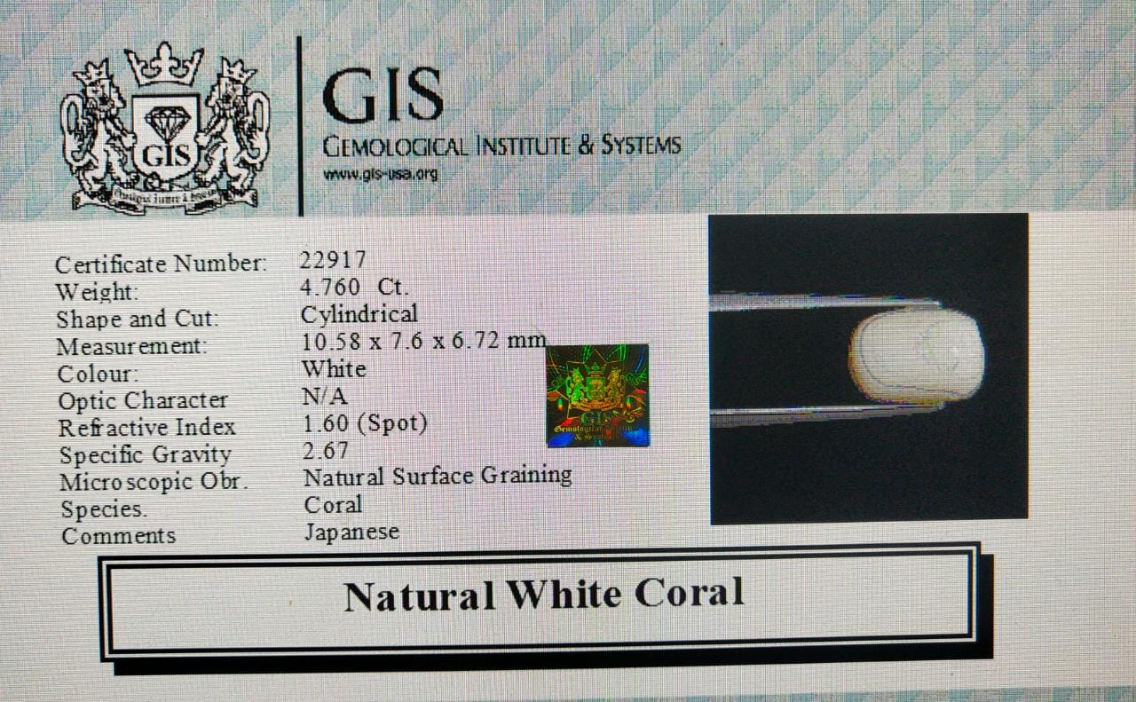 WC240 4 White Coral 4.76 Ct.