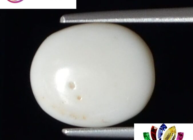 WC242 1 e1680690277261 White Coral 3.53 Ct.