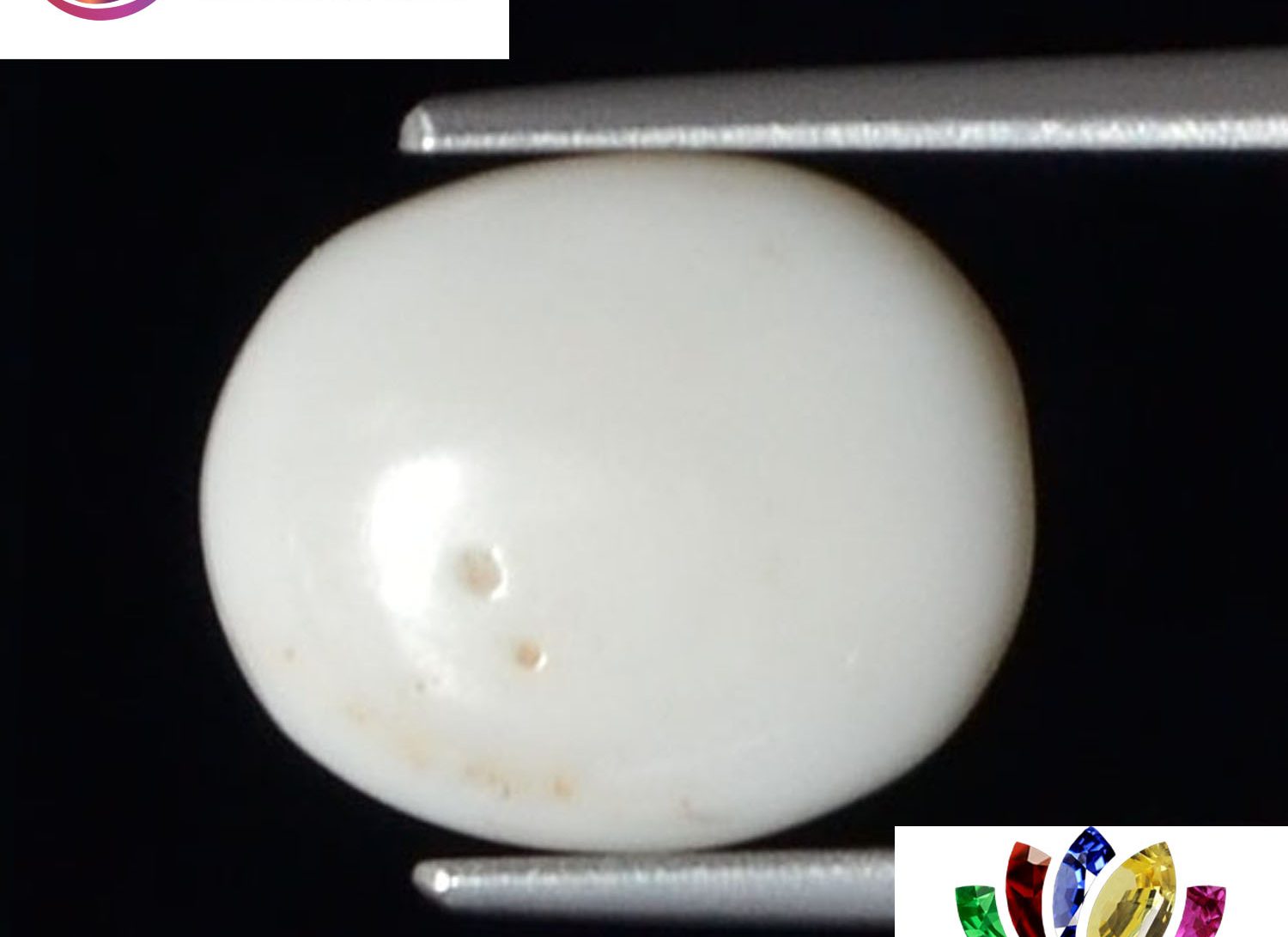White Coral 3.53 Ct.