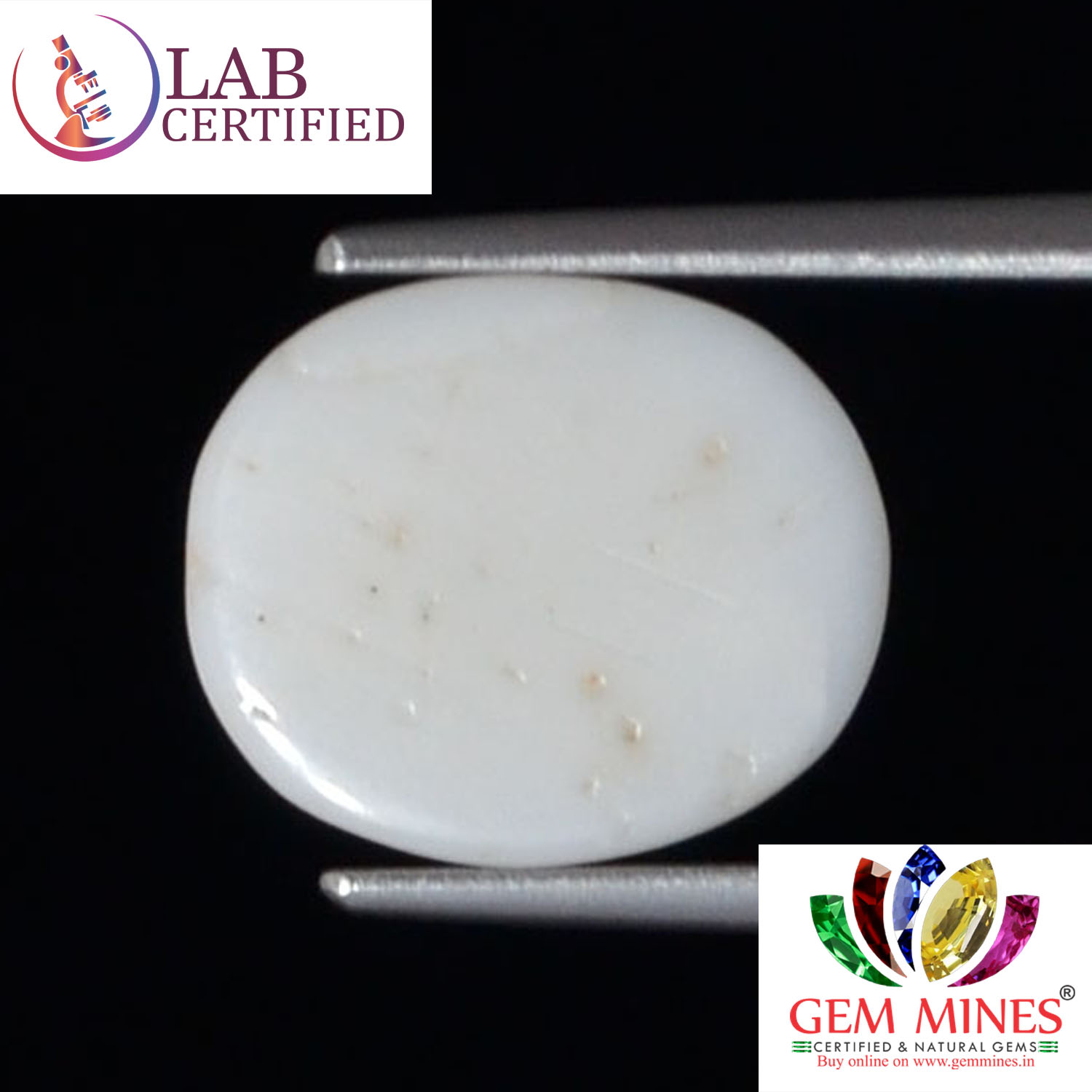 WC242 2 White Coral 3.53 Ct.