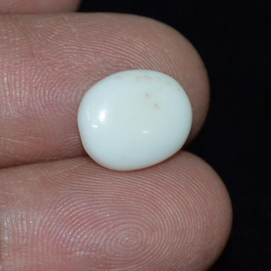 WC242 3 White Coral 3.53 Ct.