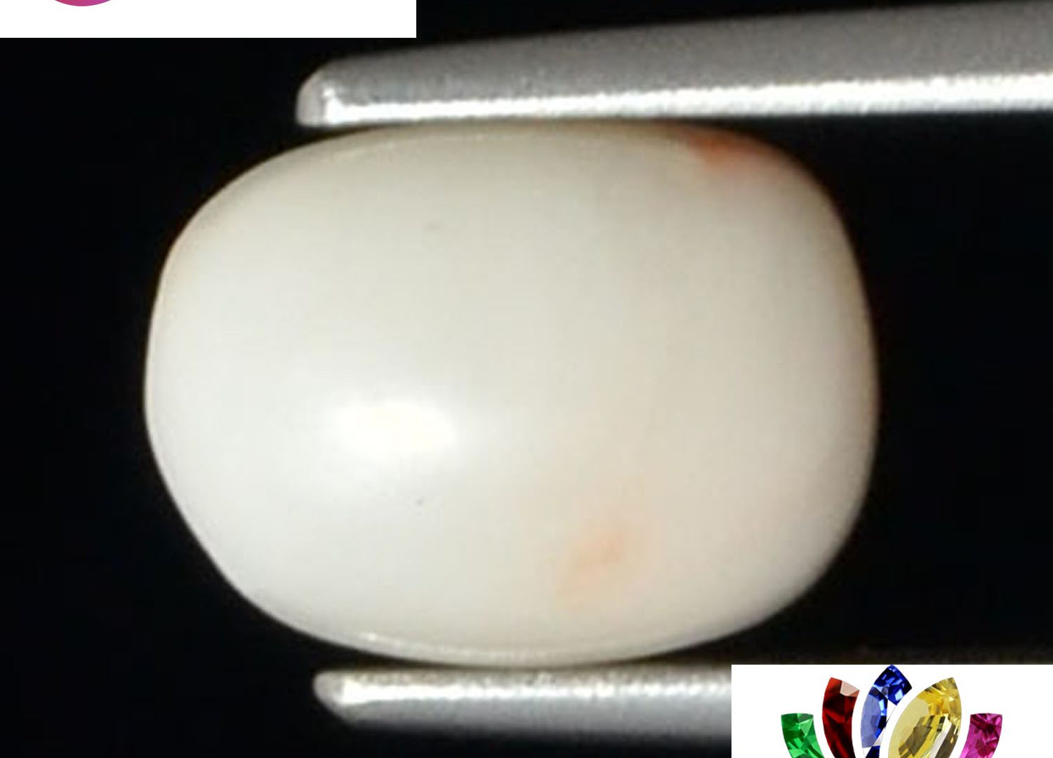 White Coral 2.63 Ct.