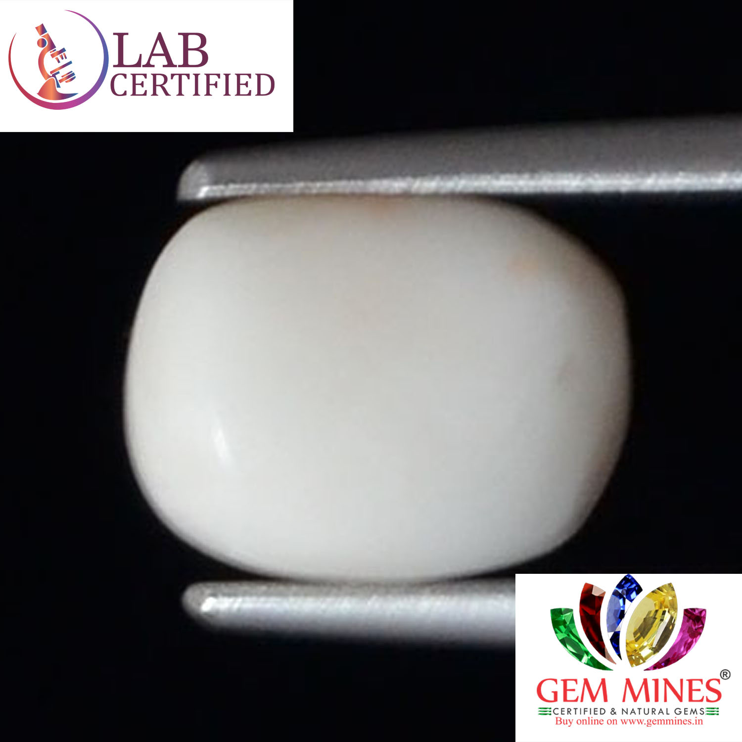 WC243 2 White Coral 2.63 Ct.