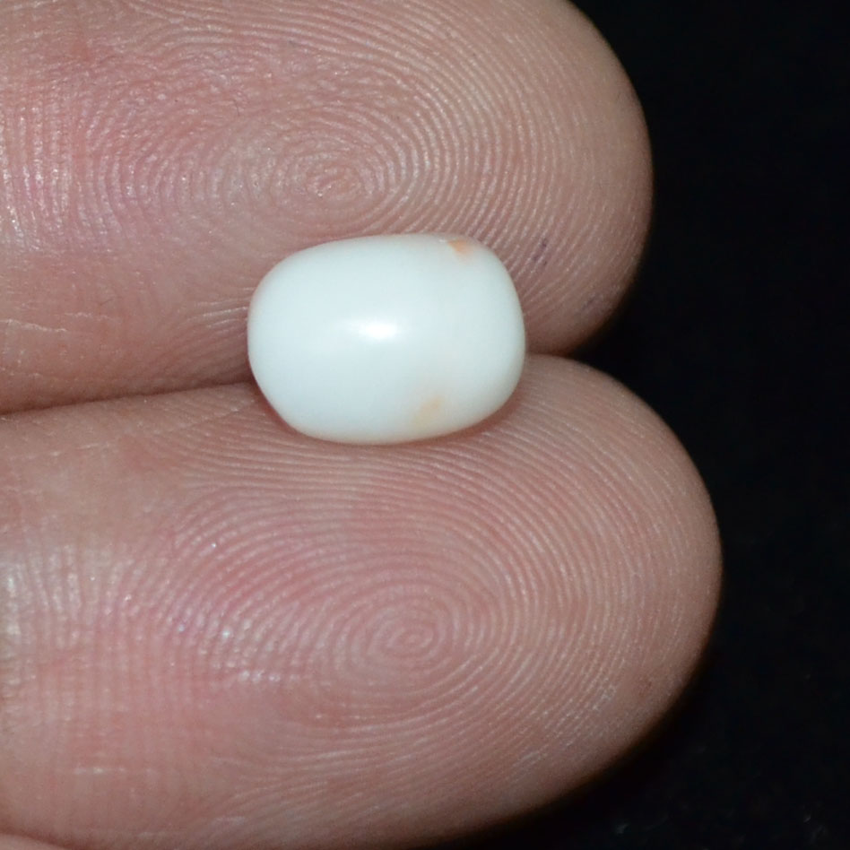 WC243 3 White Coral 2.63 Ct.