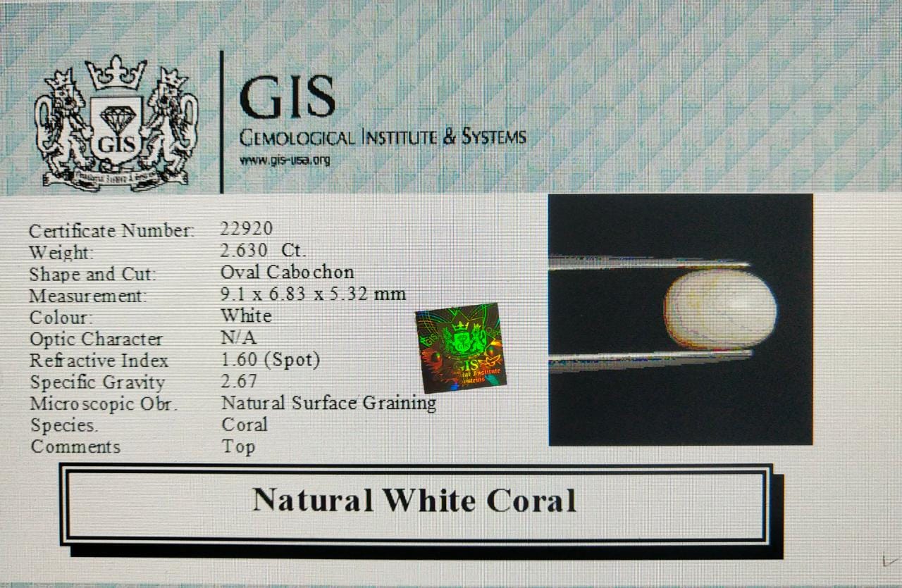 WC243 4 White Coral 2.63 Ct.