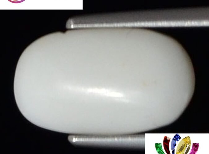 WC244 1 e1680690280355 White Coral 2.98 Ct.