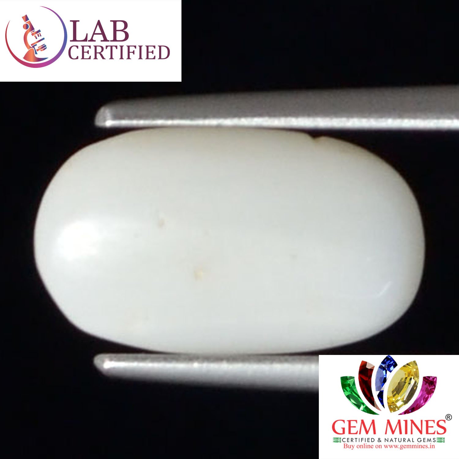 WC244 2 White Coral 2.98 Ct.