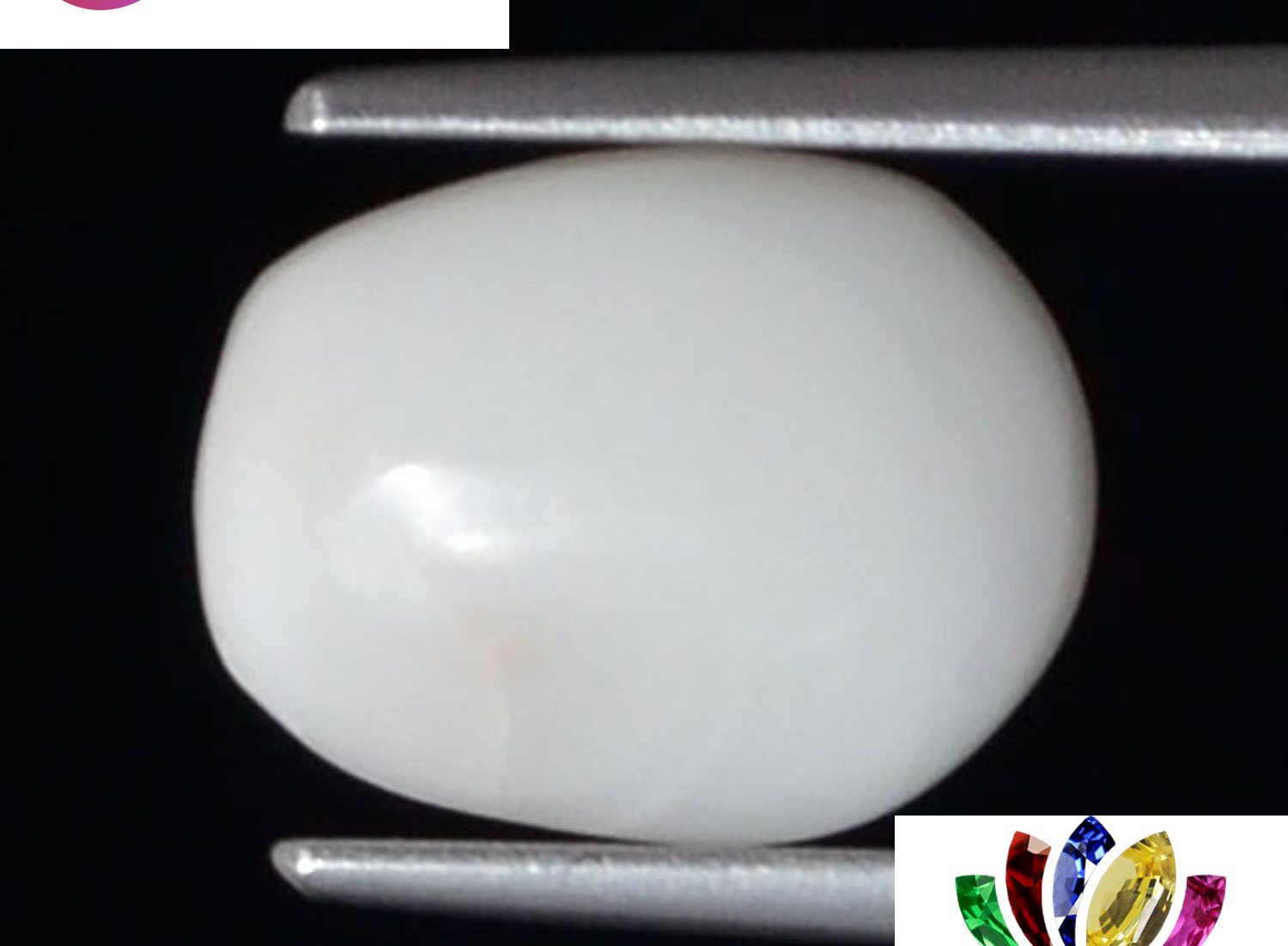 White Coral 2.78 Ct.