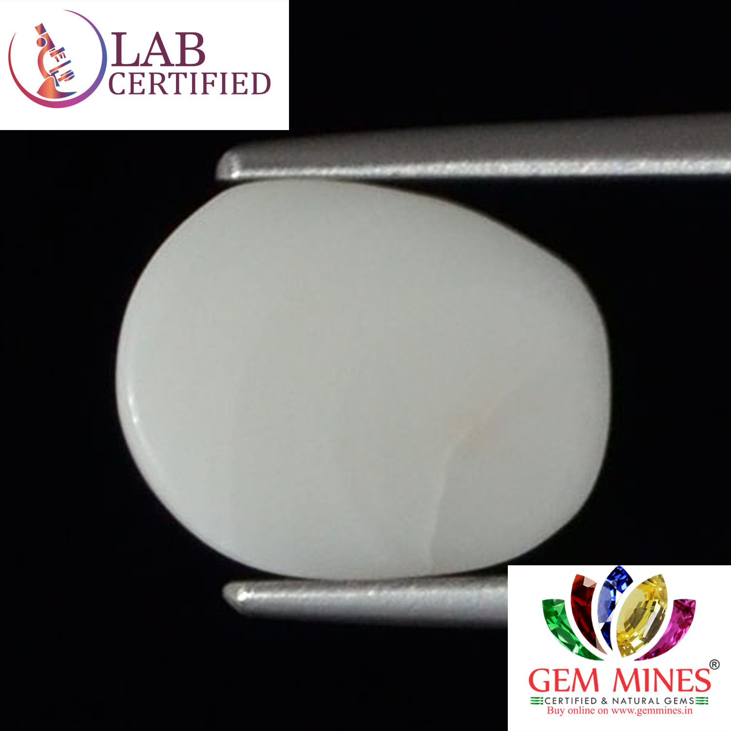 WC245 2 White Coral 2.78 Ct.