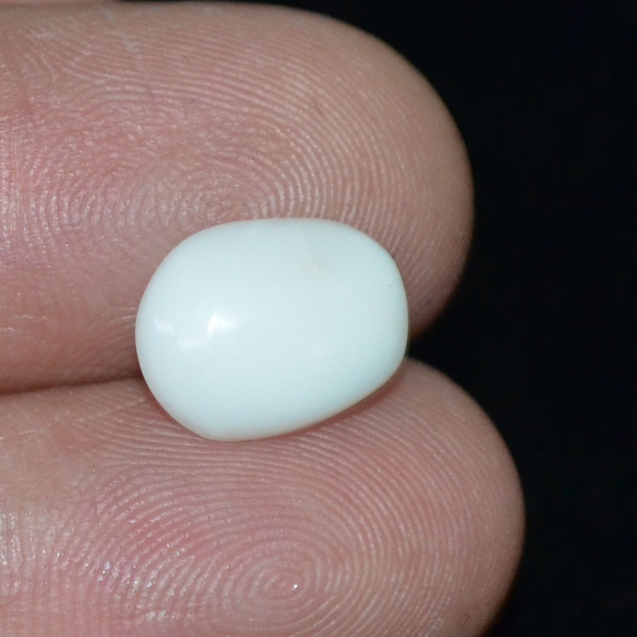 WC245 3 White Coral 2.78 Ct.