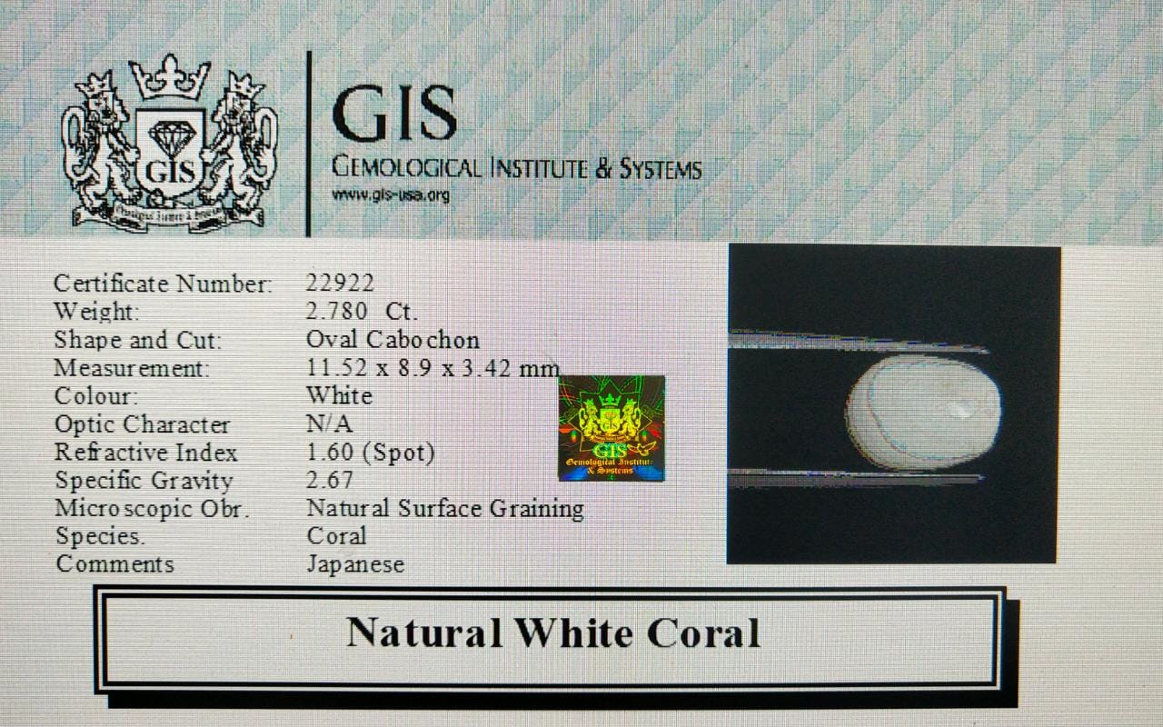 WC245 4 White Coral 2.78 Ct.