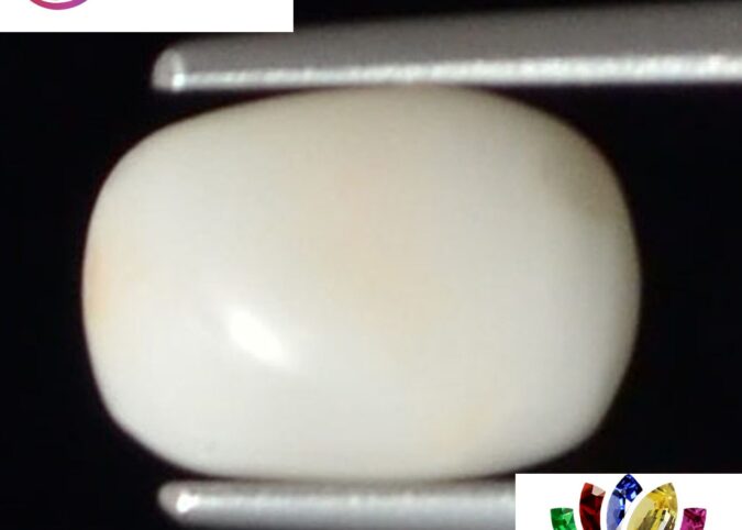 WC246 1 e1680690612654 White Coral 1.88 Ct.