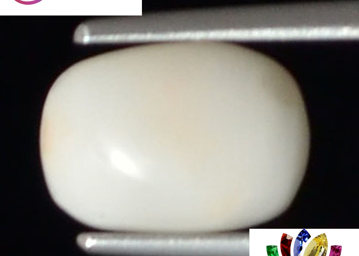 White Coral 1.88 Ct.
