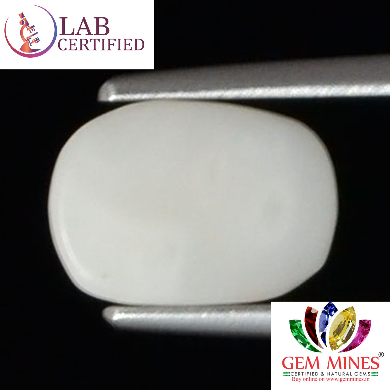 WC246 2 White Coral 1.88 Ct.