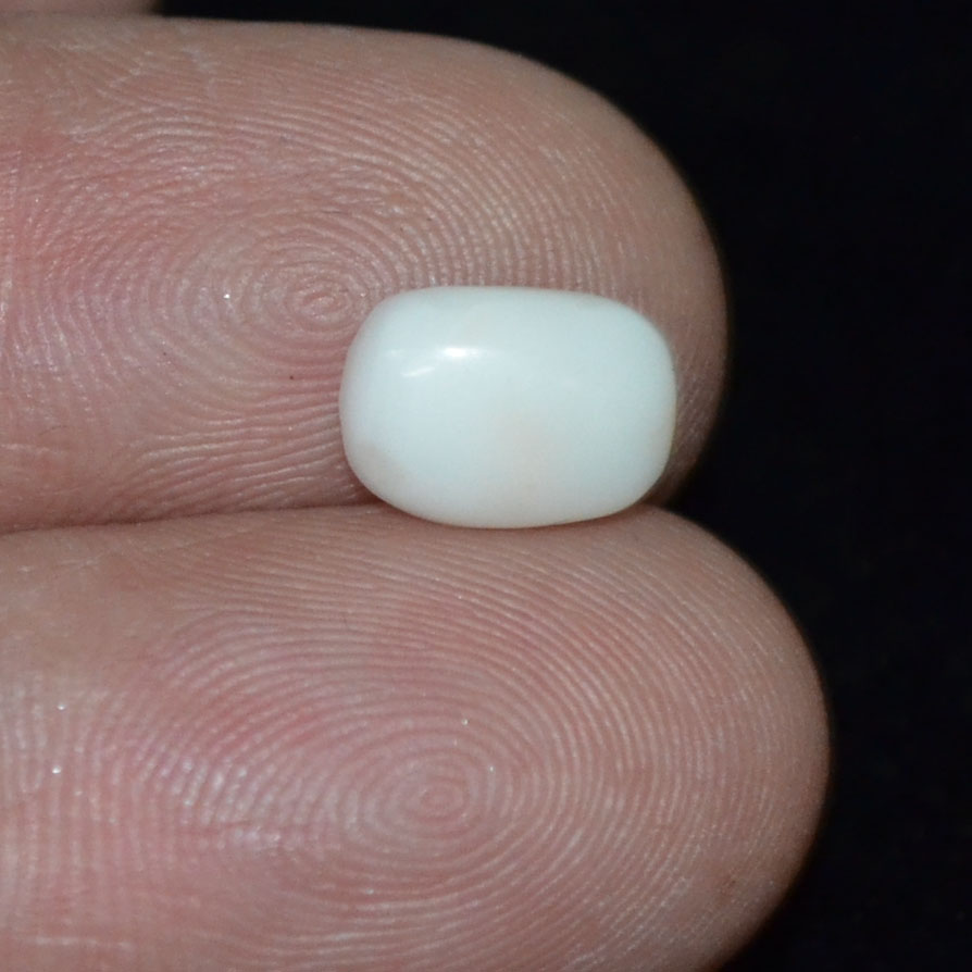 WC246 3 White Coral 1.88 Ct.