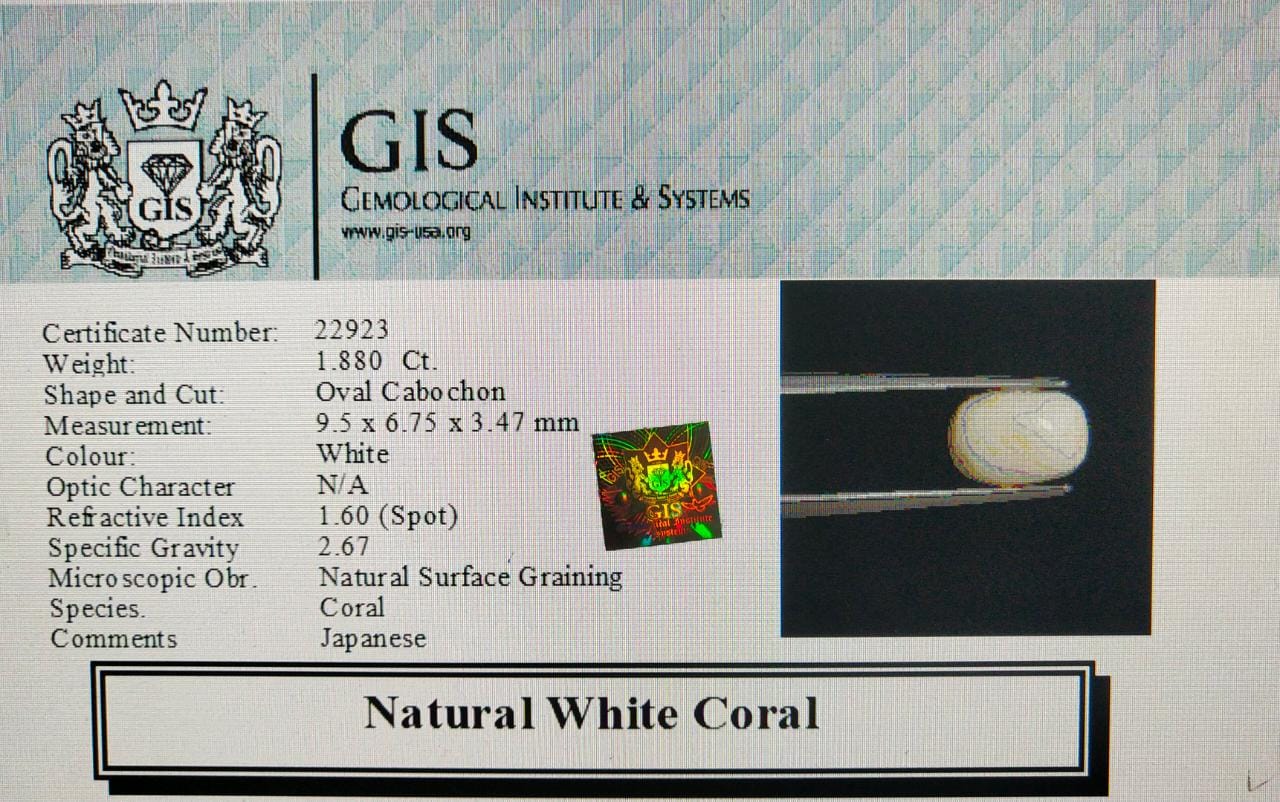 WC246 4 White Coral 1.88 Ct.