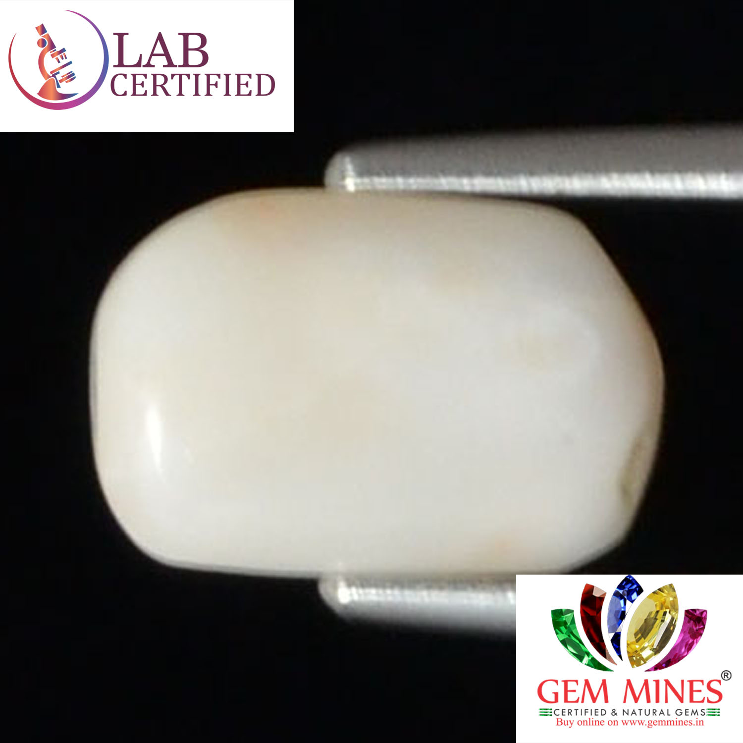 WC247 2 White Coral 2.72 Ct.