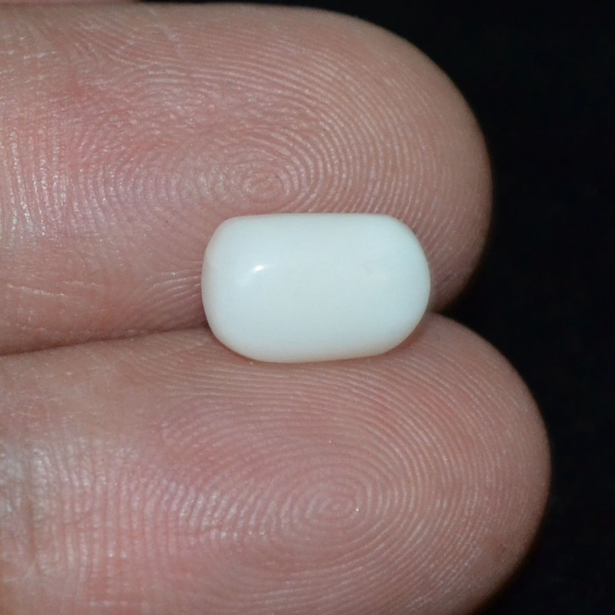 WC247 3 White Coral 2.72 Ct.