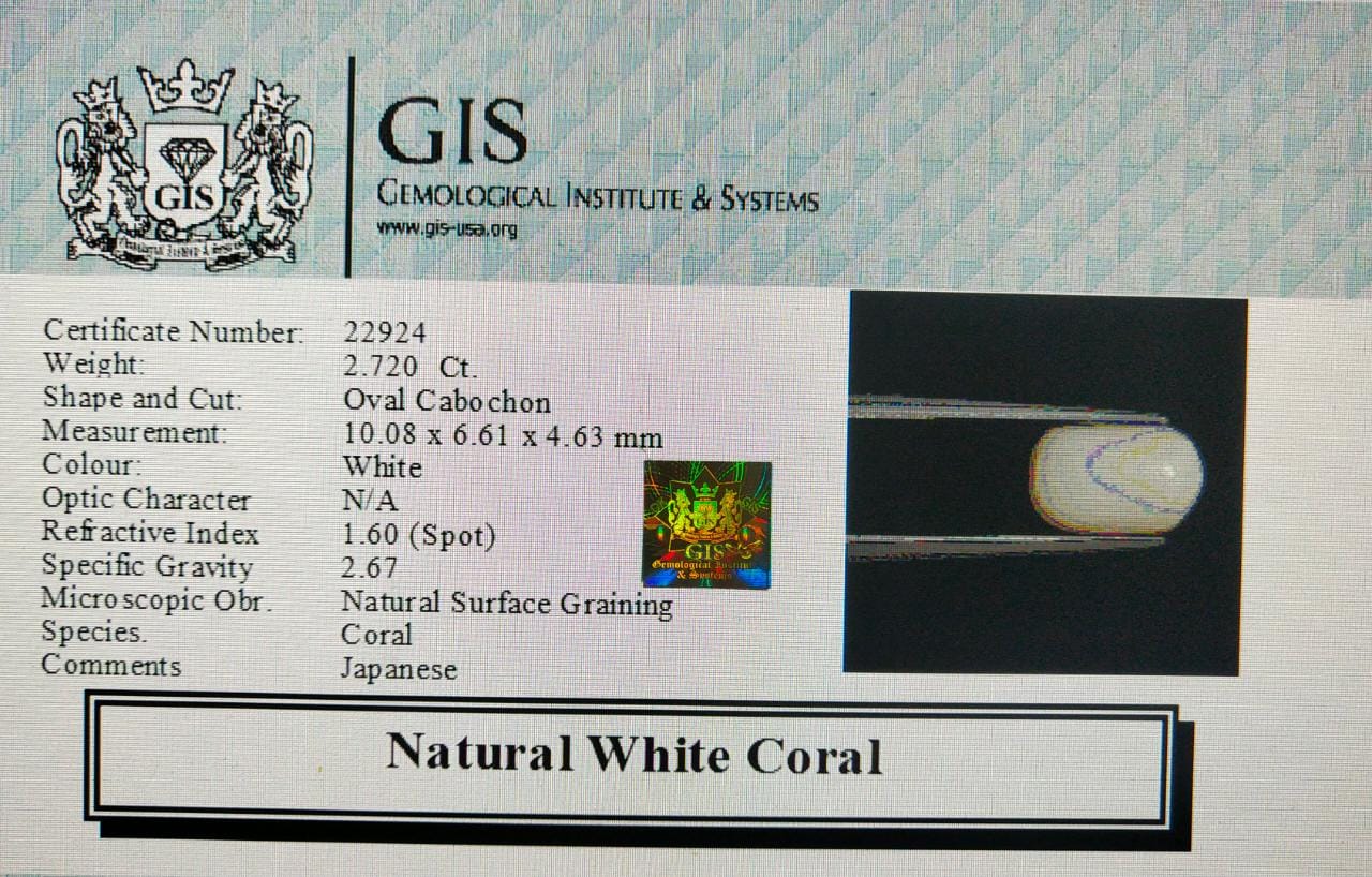WC247 4 White Coral 2.72 Ct.
