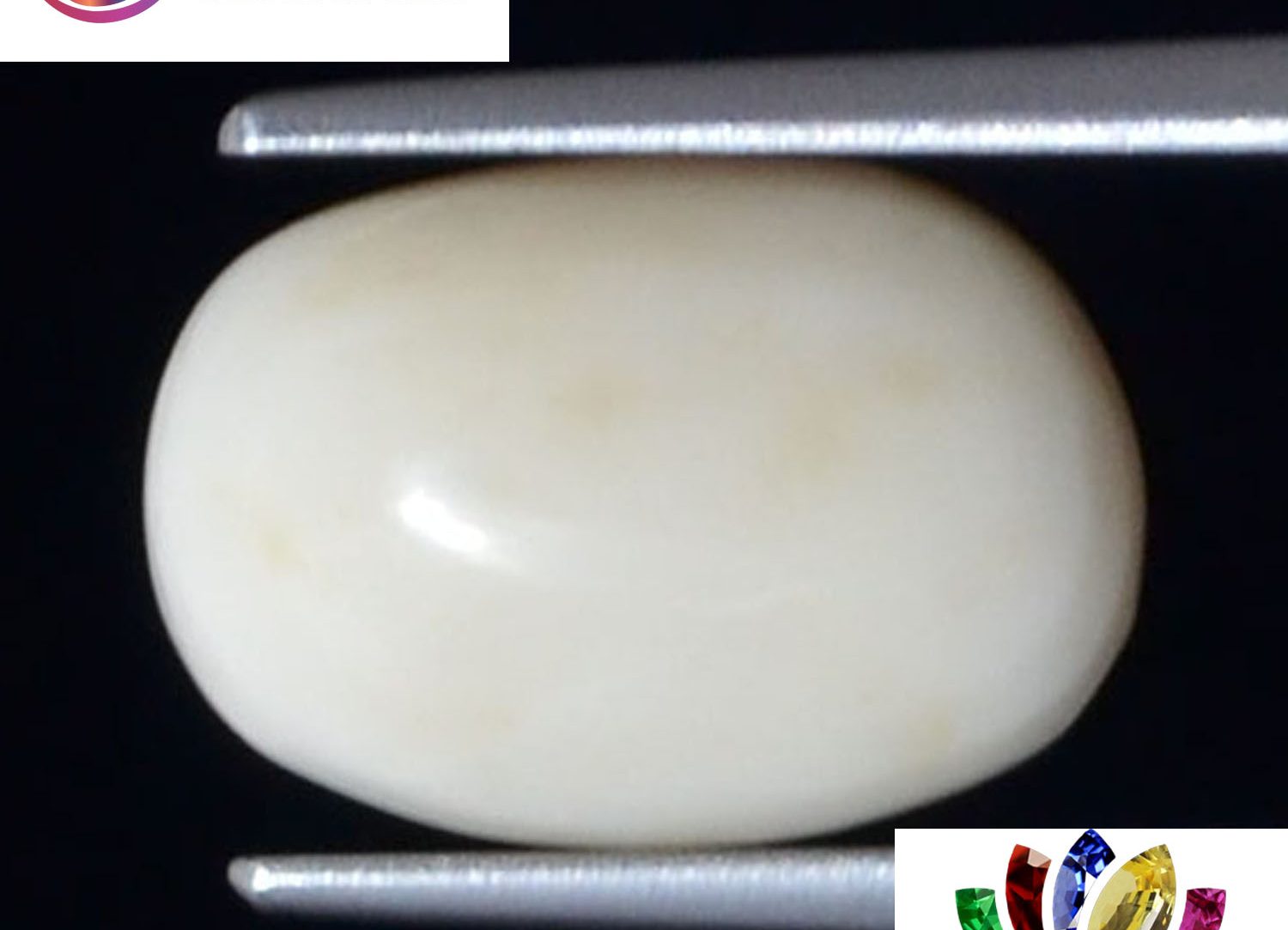 White Coral 4.78 Ct.