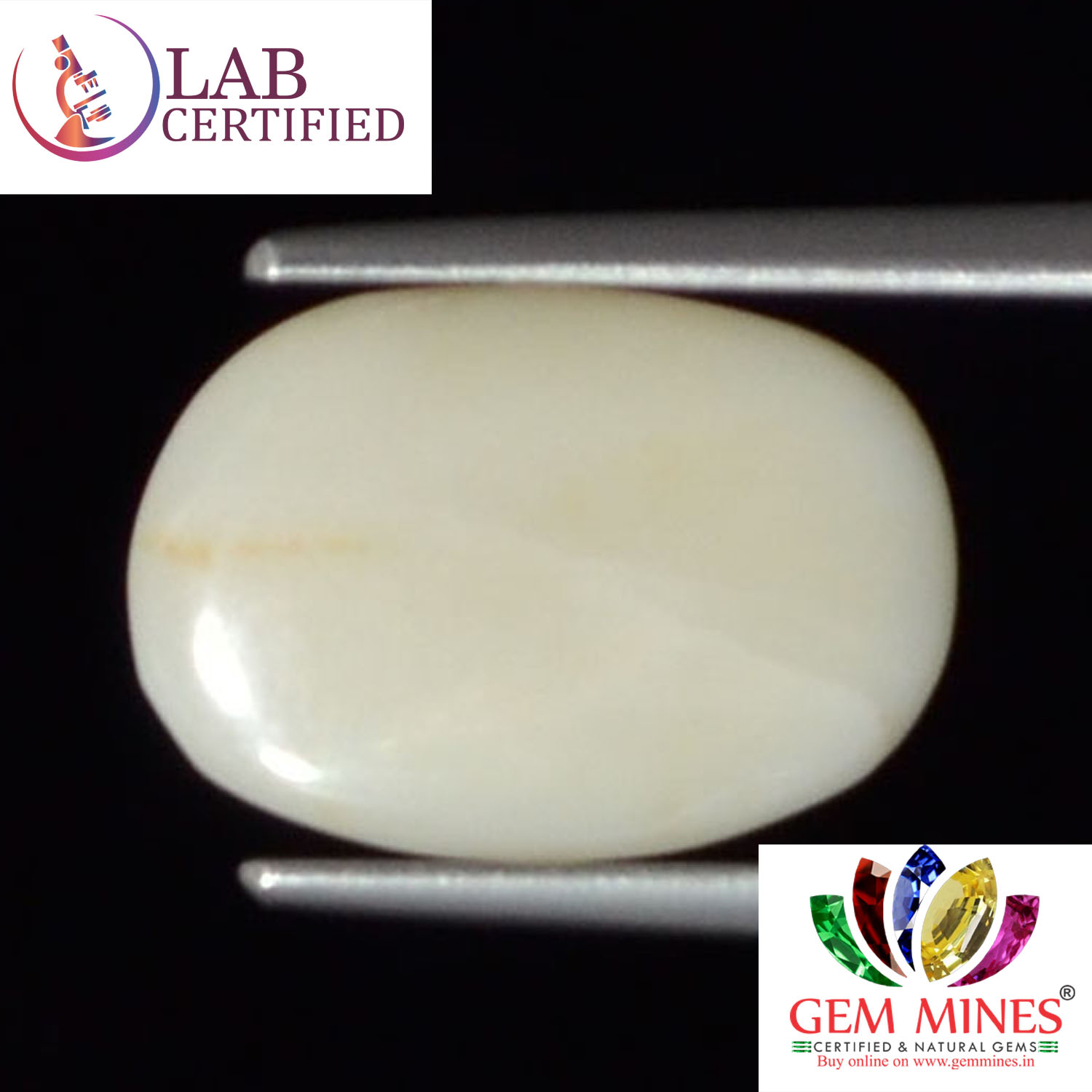White Coral 4.78 Ct. 3 WC250 2 White Coral 4.78 Ct.